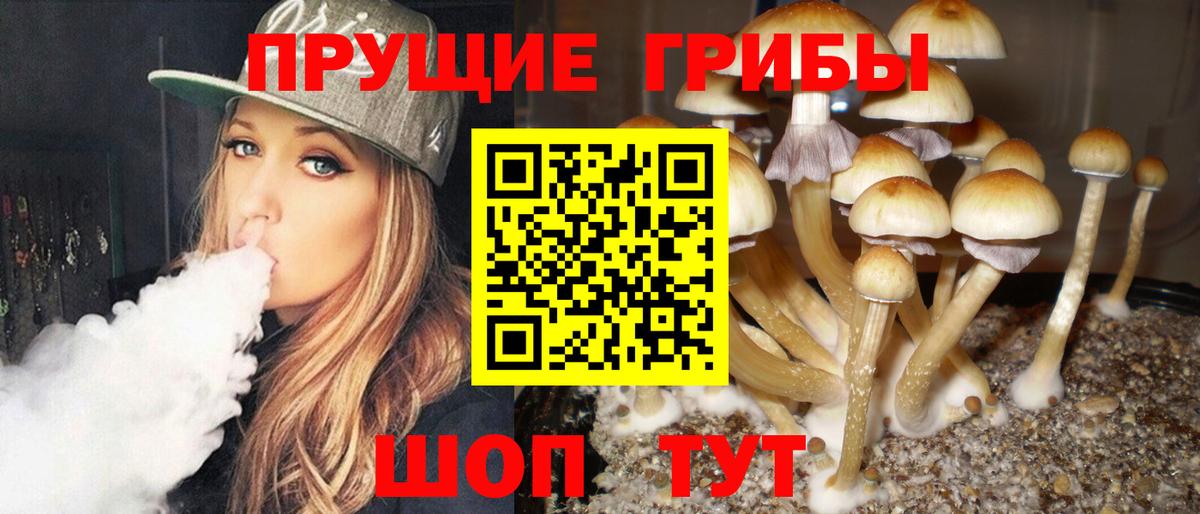 Псилоцибиновые грибы прущие грибы  Галлюциногенные грибы Magic Shrooms  Можайск  Вход с VPN 